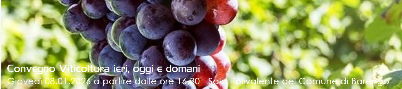 Viticoltura ieri, oggi e domani